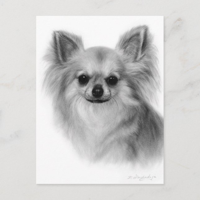 Carte Postale Chihuahua Peint à la main Portrait pour animaux de (Devant)