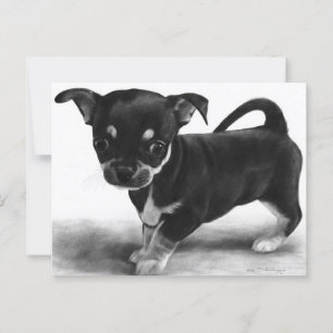 Carte Postale Chihuahua Puppy curieux - artisanat peint à la mai