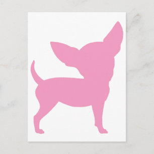 Carte Postale Chihuahua rose drôle