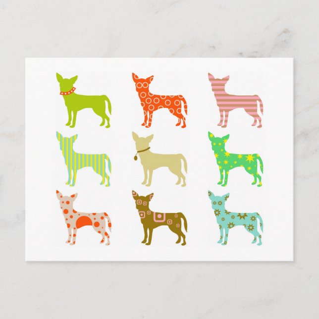 Carte Postale chihuahuas à motifs (Devant)