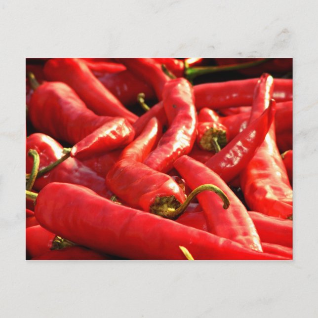 Carte Postale Chili chaud rouge (Devant)