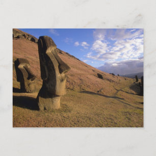 Carte Postale Chili, Île de Pâques. Colline avec Moai