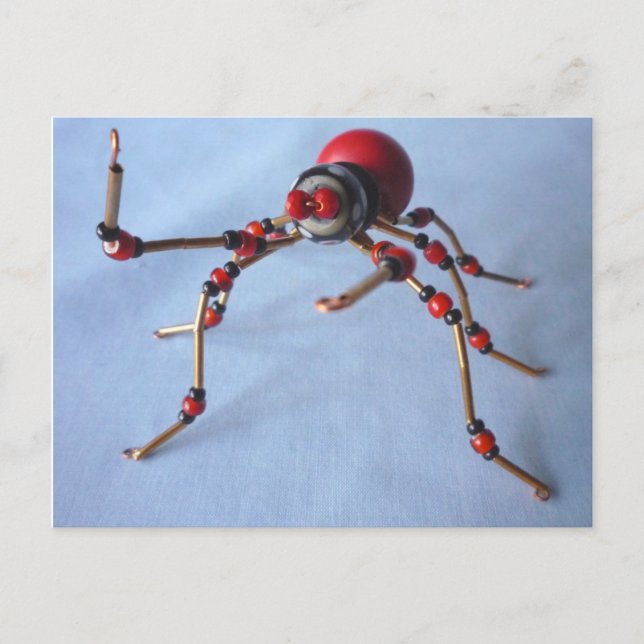 Carte Postale Chili Pepper Spider (Devant)