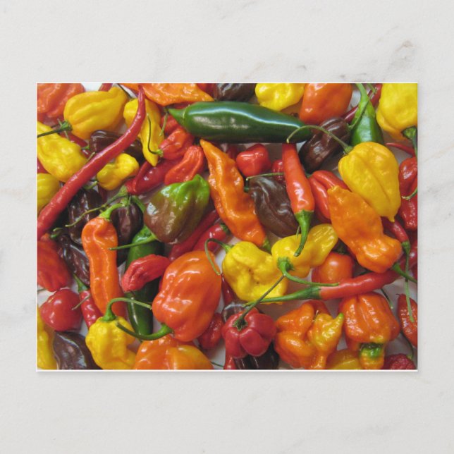 Carte Postale Chili Pile (Devant)