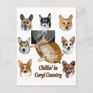 Carte Postale Chillin' dans le pays Corgi