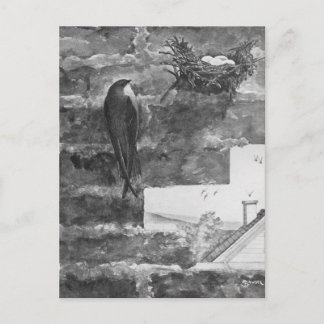 Carte Postale Chimney Swift et Nest