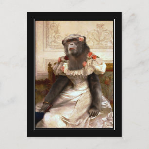 Carte Postale Chimp dans Gown