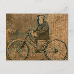 Carte Postale Chimp vintage à vélo