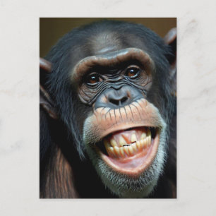 Carte Postale Chimpanzé