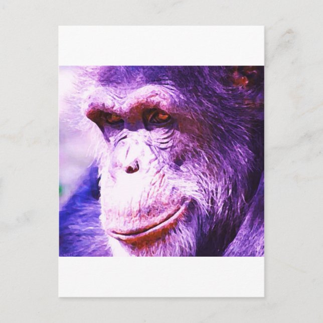 Carte Postale Chimpanzé (Devant)