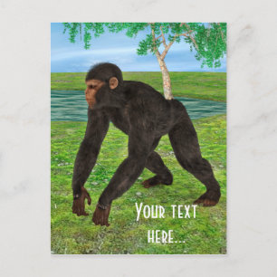 Carte Postale Chimpanzé