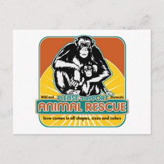 Carte Postale Chimpanzé de sauvetage animal