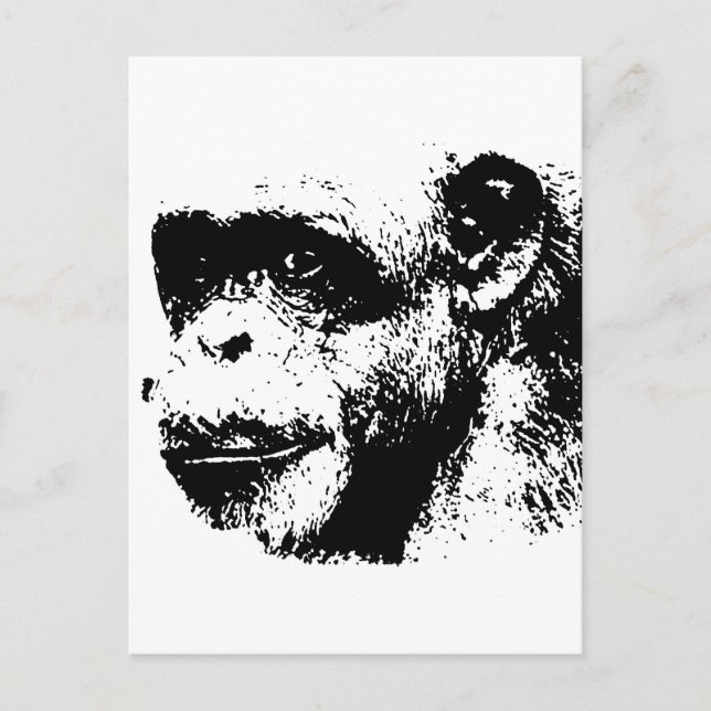 Carte Postale Chimpanzé noir et blanc (Devant)