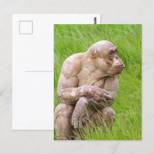 Carte Postale Chimpanzé sans cheveux