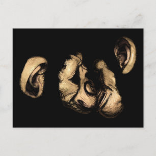 Carte Postale chimpanzés qui s'embrassent