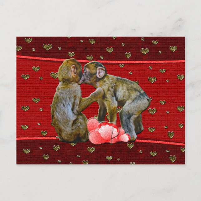 Carte Postale Chimpanzés s'embrassant Cœurs flottants (Devant)
