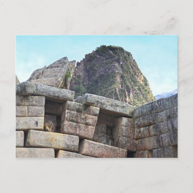 Carte Postale Chinchilla à Machu Picchu, Pérou (Devant)