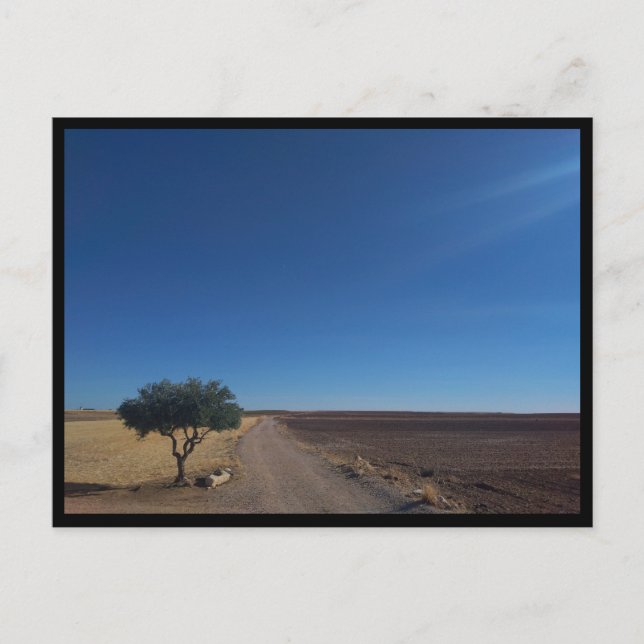 Carte Postale Chinchon (Espagne) (Devant)