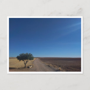 Carte Postale Chinchon (Espagne)