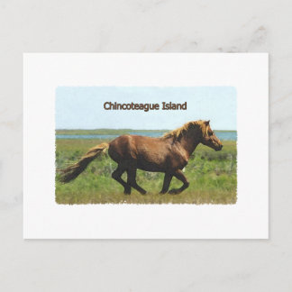 Carte Postale Chincoteague Island (logo de l'étalon en marche)