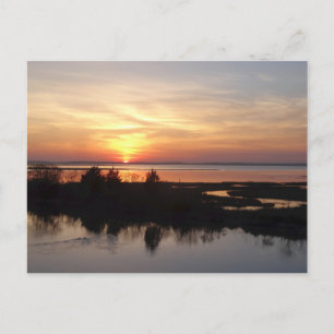 Carte Postale Chincoteague Sunset II Virginia Paysage