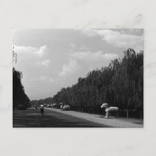 Carte Postale Chine Ancienne Pekin beau chemin des tombeaux Ming