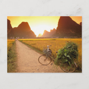 Carte Postale Chine, Guangxi. Yangzhou, Bicyclette à la campagne
