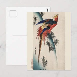 Carte Postale Chinoiserie Oiseau Faisan Coloré et Art de Pin