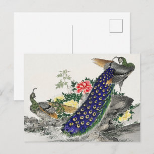 Carte Postale Chinoiserie Paon Bleu Pivoine Rose Art Botanique