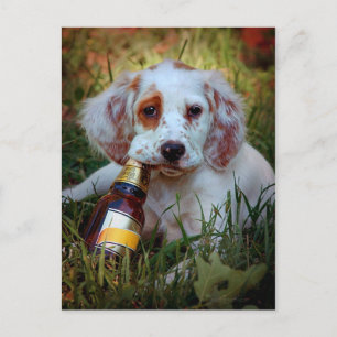 Carte Postale Chiot Avec Bouteille De Bière