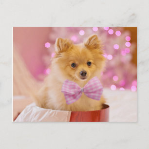 Carte Postale Chiot avec bow