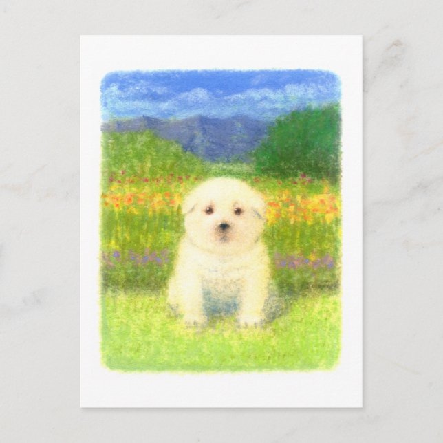 Carte Postale Chiot blanc (Devant)