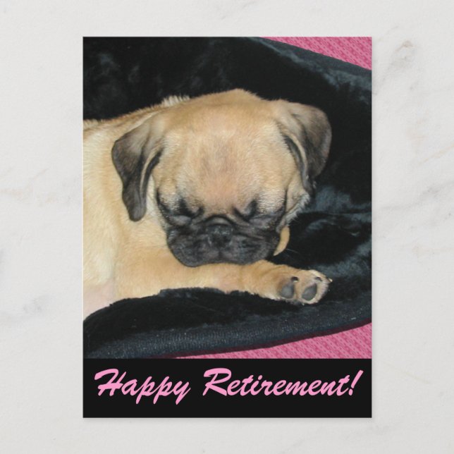 Carte Postale Chiot Carlin mignon (Devant)