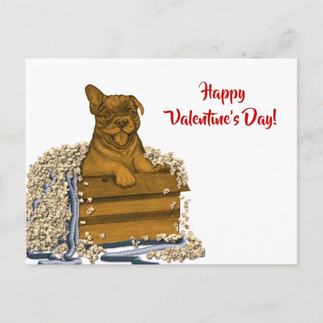 Carte Postale Chiot dans une boîte , Joyeuse Saint-Valentin! (Devant)