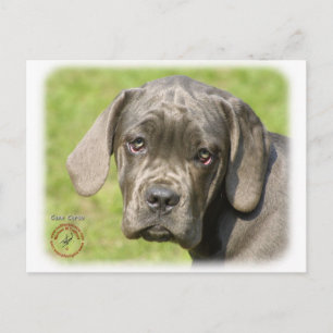Carte Postale Chiot de canne Corso 8R062D-25