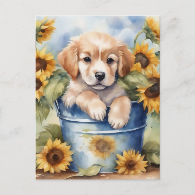 Carte Postale Chiot de tournesol (Devant)