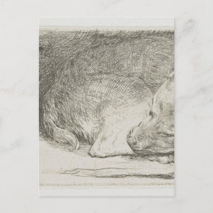 Carte Postale Chiot dormant par Rembrandt