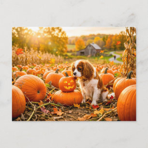 Carte Postale Chiot épagneul dans un champ de citrouilles d'auto
