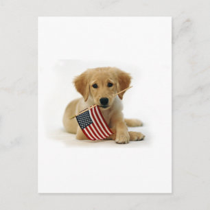 Carte Postale Chiot et drapeau Golden Retriever