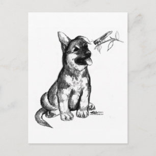 Carte Postale Chiot et sauterelle