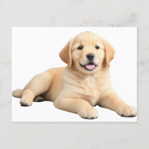 Carte Postale Chiot Golden Retriever