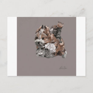 Carte Postale Chiot Havanais