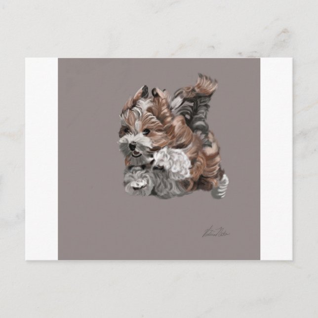 Carte Postale Chiot Havanais (Devant)