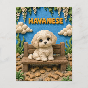 Carte Postale Chiot Havanais Mignon, Bébé Chien