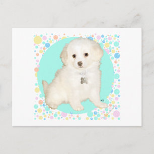 Carte Postale Chiot mélange Poodle / Bichon célèbre la vie