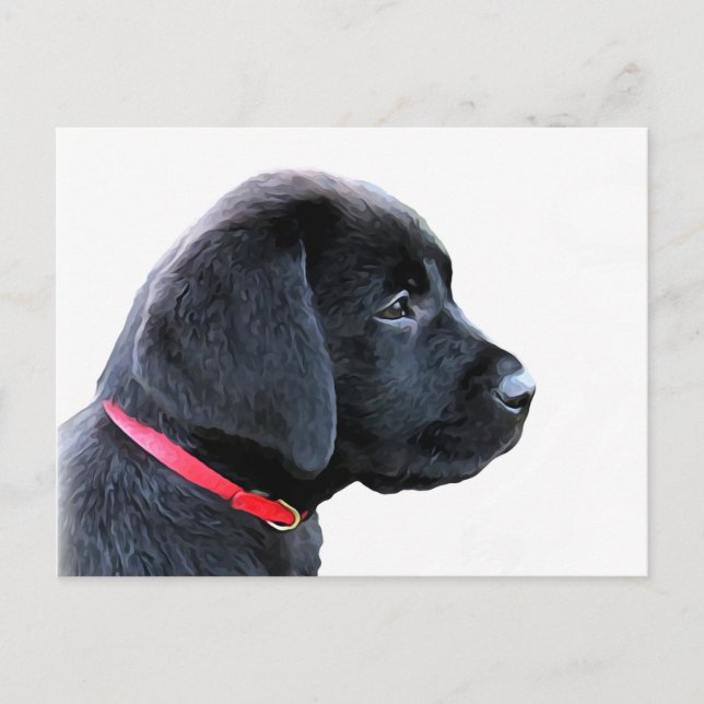 Carte Postale Chiot mignon de Labrador Retriever noir - Labrador (Devant)