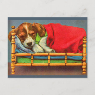 Carte Postale chiot mignon endormi