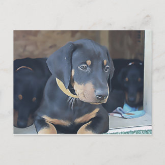 Carte Postale Chiot noir Doberman