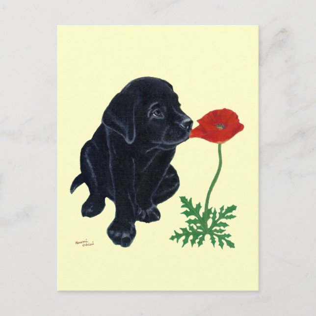 Carte Postale Chiot noir Labrador (Devant)
