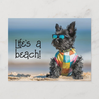 Carte Postale Chiot Scottish Terrier portant des lunettes de sol